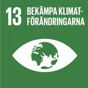 Logotyper Mål 13