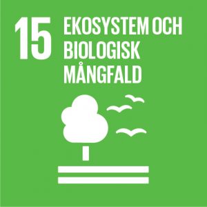 Logotyper Mål 15