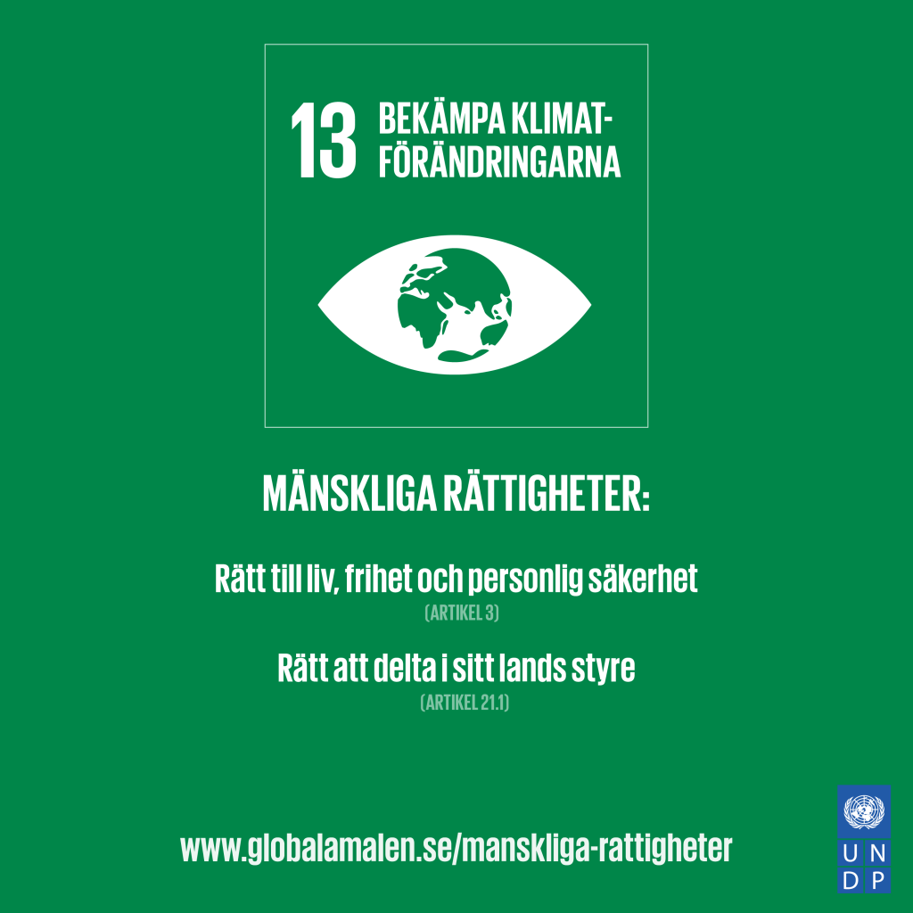Gå till bild 13